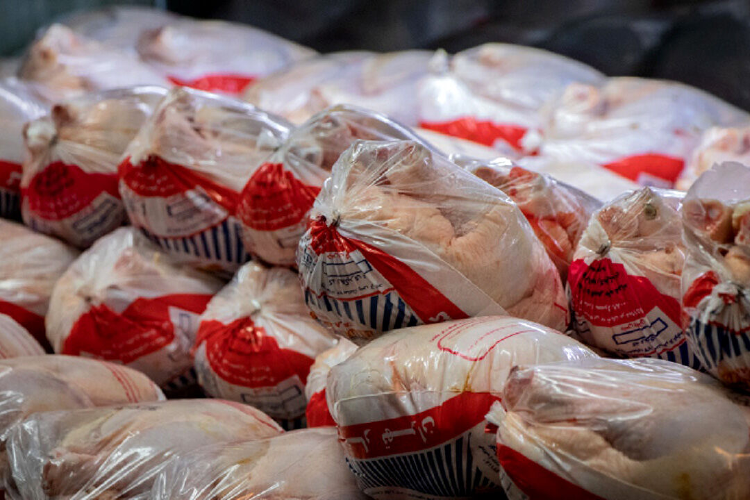 توزیع روزانه ۳۲۰ تن مرغ گرم در بازار گیلان