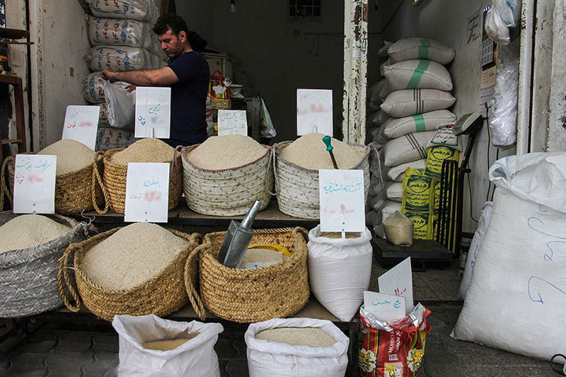 قیمت ارقام محلی برنج در گیلان