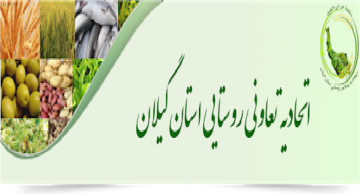 توزیع بیش از ۱۰۰ تن تولیدات روستایی و کشاورزی