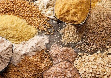 تولید خوراک ارزان قیمت دام در گیلان