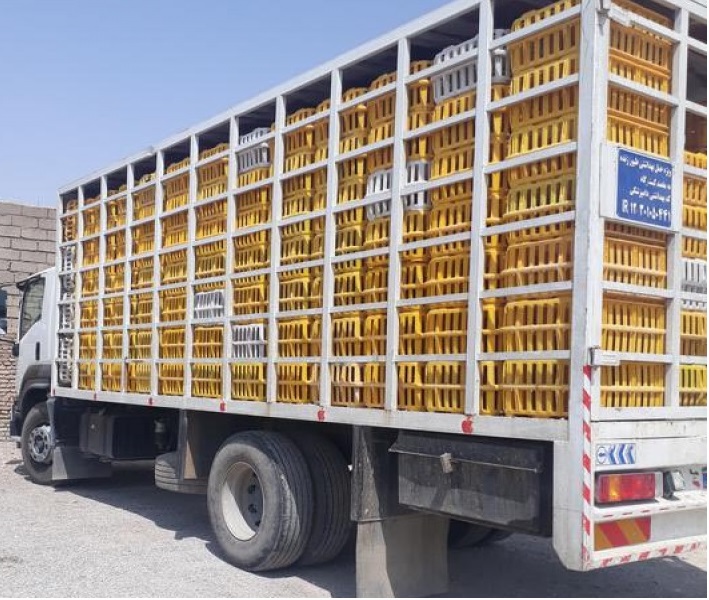 توقیف ۱۰ کامیون پر از مرغ های غیر قانونی در رودبار