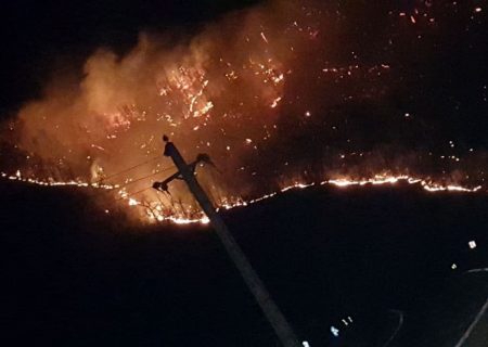آتش سوزی مهیب در جنگل های حیران