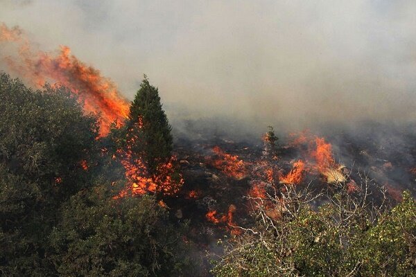 وقوع ۶ فقره آتش سوزی در جنگل های گیلان