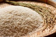 ممنوعیت عرضه برنج خارجی در گیلان