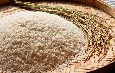 ممنوعیت عرضه برنج خارجی در گیلان