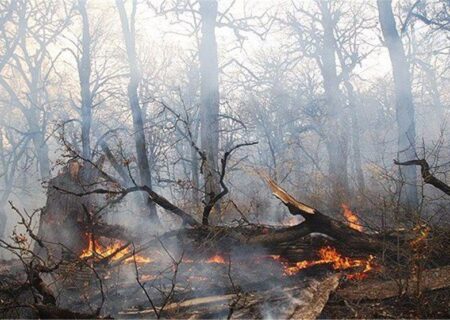 آتش سوزی ۵۰ هکتار از جنگل‌های گیلان در پی وزش باد گرم