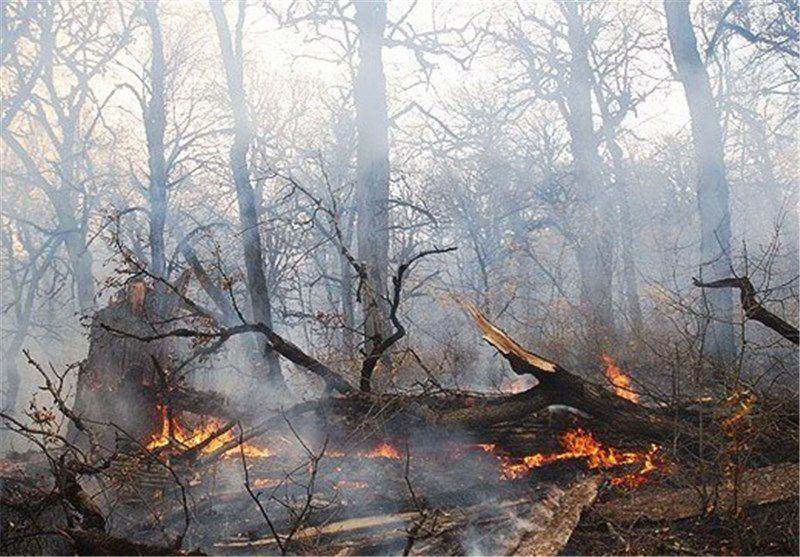 آتش گرفتن ۲هکتار از جنگل‌های رضوانشهر