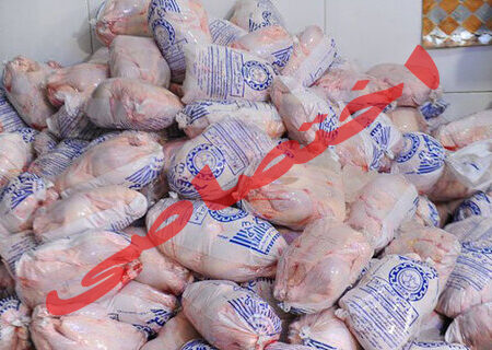 ذخیره روزانه ۲۶۰ تن مرغ در گیلان