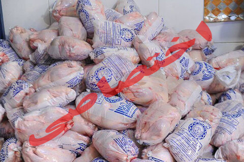 ذخیره روزانه ۲۶۰ تن مرغ در گیلان