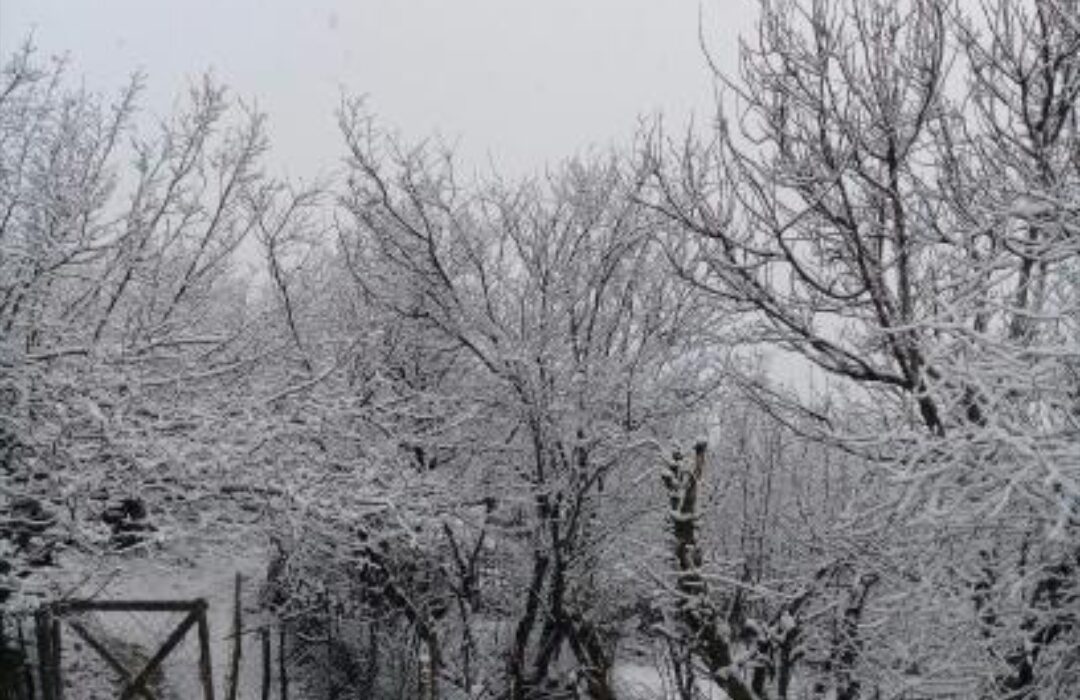 بدرقه برف با کاهش ناپایداری هوای گیلان از بعد از ظهر امروز