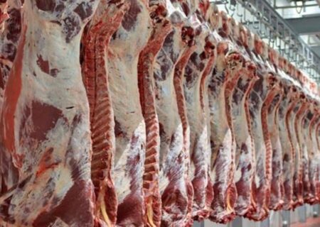 تولید بیش از ۷۰ هزار تُن گوشت در گیلان