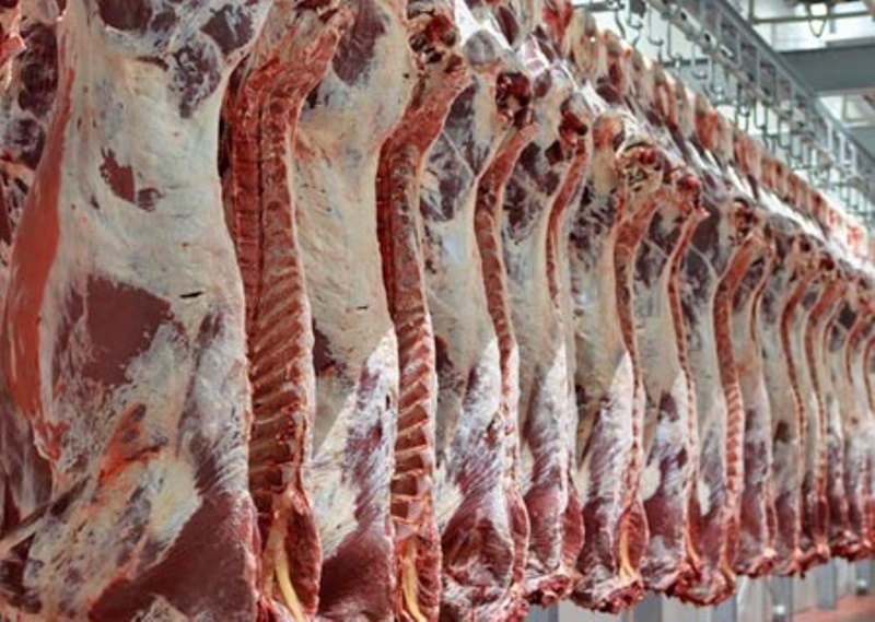 پیش بینی تولید بیش از ۲۹هزار تن گوشت قرمز در گیلان
