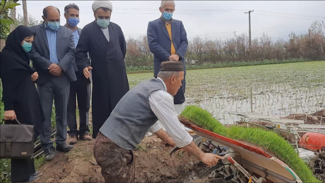 نخستین نشاء ماشینی برنج در گیلان