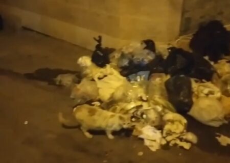 مشکلات یکی از شهروندان منطقه حمیدیان رشت در خصوص عدم رسیدگی برای جمع آوری زباله و تجمع آلودگی ها