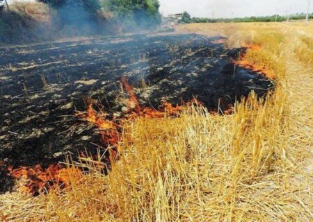 با ۲۲ کشاورزی که کاه و کلش به جا مانده از برداشت برنج شان را آتش زدند برخورد قانونی شد.