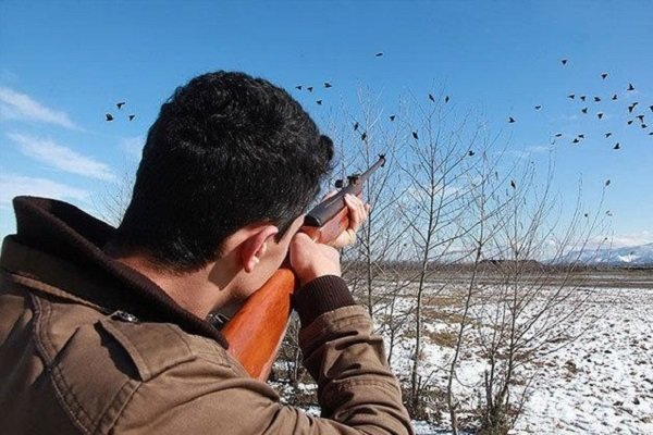 ممنوعیت شکار پرندگان در گیلان