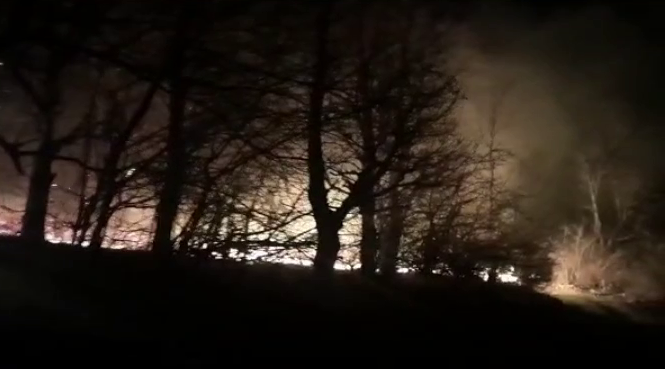 مهار آتش سوزی سه روستای جنگلی رشت