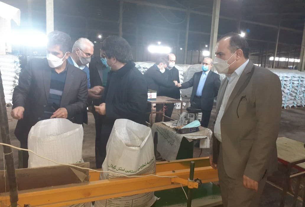 توزیع ۲ هزار تن بذر گواهی شده برنج در گیلان