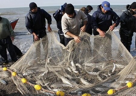 صید ۳۸۰ تن ماهی استخوانی از دریای خزر در گیلان