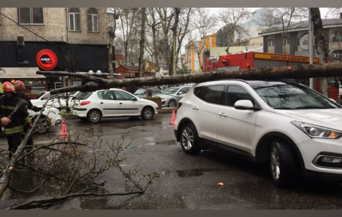 آسیب ۲ خودرو در گلسار رشت بر اثر سقوط درخت