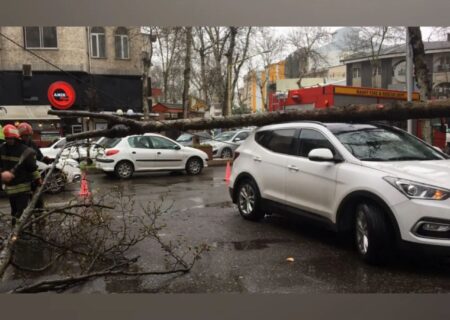 آسیب ۲ خودرو در گلسار رشت بر اثر سقوط درخت