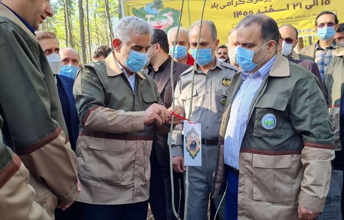 روز درختکاری و کاشت نهال در گیلان