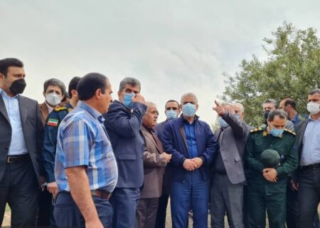 بررسی وضعیت حمله ملخ‌های مراکشی به باغات زیتون لوشان