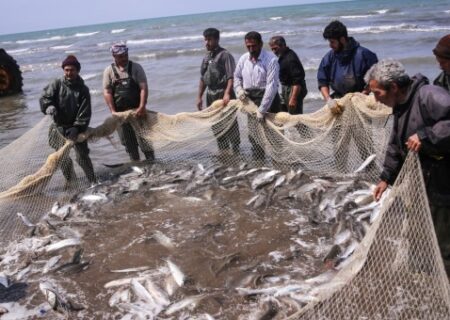 افزایش ۱۶ درصدی صید ماهیان استخوانی در تور صیادان گیلانی