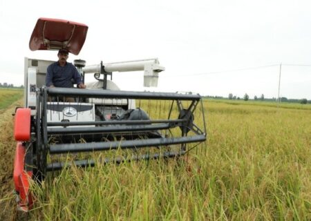 بدون ارتقای مکانیزاسیون با مشکل تامین کارگر برای تولید برنج مواجه می‌شدیم