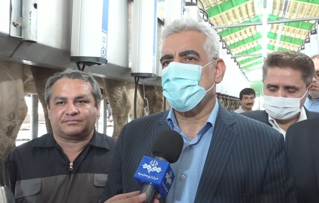 بهره برداری از طرح دامداری تولید شیر در رشت