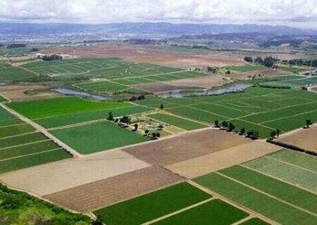 اجرای طرح کاداستر در بیش از ۹۰ درصد زمین‌های گیلان