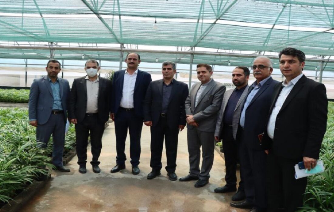 افتتاح یک گلخانه مدرن تولید گل و گیاه زینتی در رشت