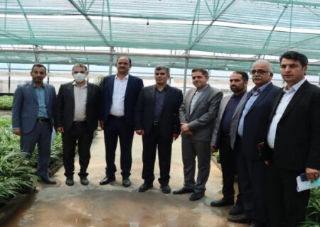 افتتاح یک گلخانه مدرن تولید گل و گیاه زینتی در رشت