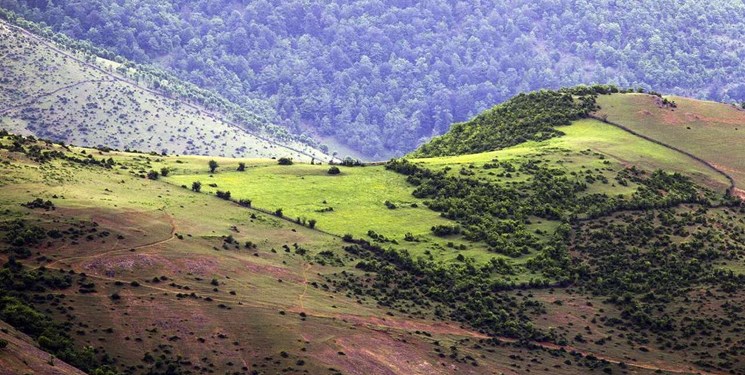 اجرای طرح مرتع‌داری در ۹۸ درصد مراتع گیلان