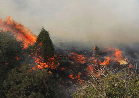 خطر آتش سوزی در عرصه‌های طبیعی گیلان