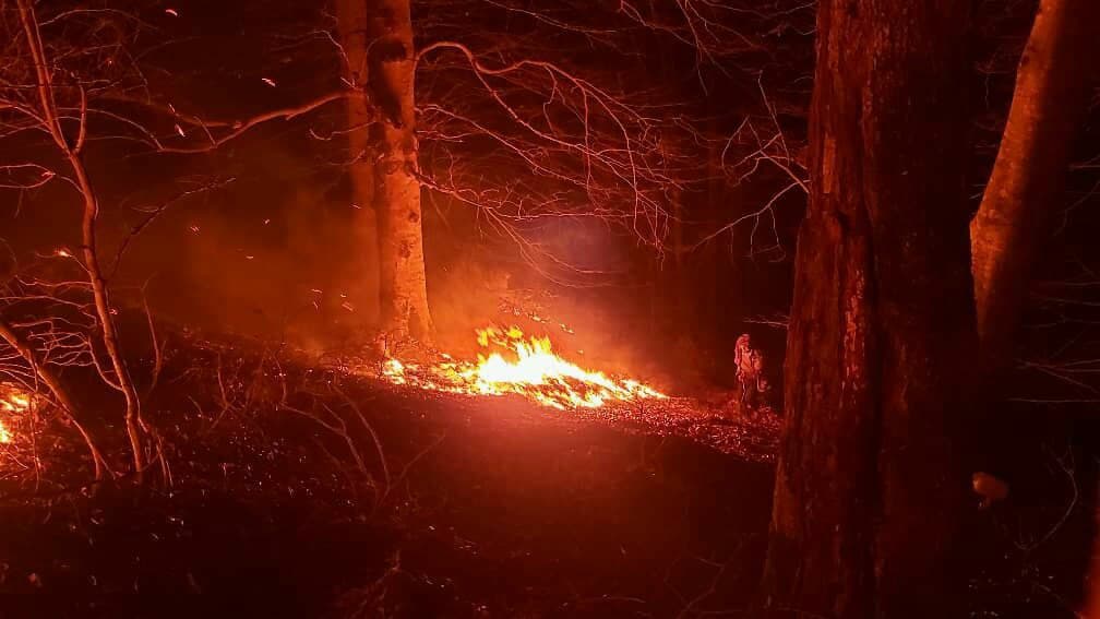 آتش سوزی مناطق جنگلی یکی از ییلاقات شهرستان املش