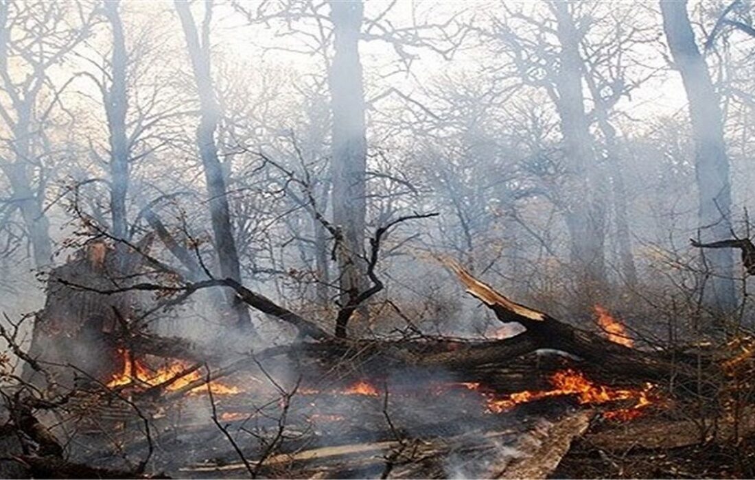 مهار آتش در جنگل‌های درفک