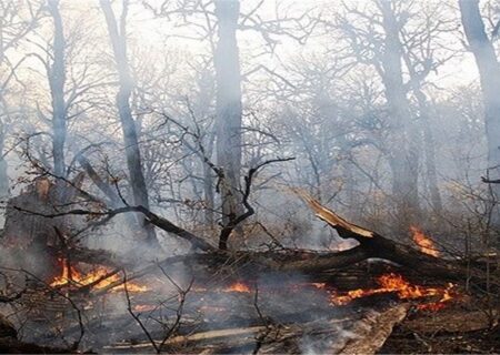 مهار آتش در جنگل‌های درفک