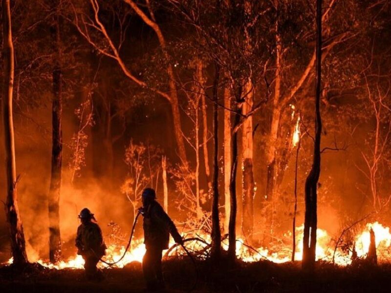 ادامه آتش سوزی یک هکتار از مناطق جنگلی و ییلاقی کرف گردن املش