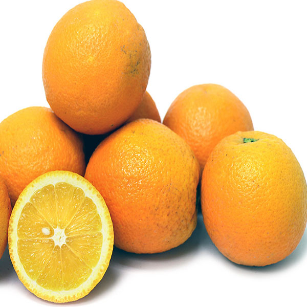 پرتقال های نارنجی رنگ در این موقع سال سالم نیستند