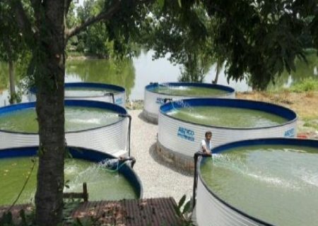 فعالیت ۶ هزار مزرعه آبزی پروری در گیلان