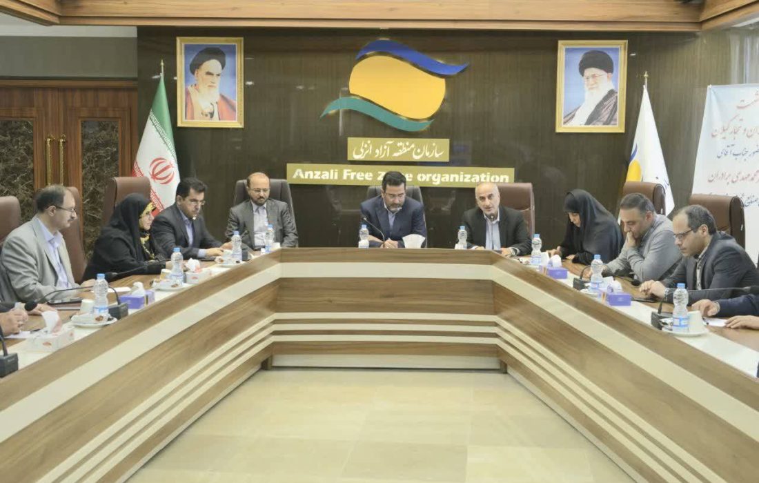 نشست معاون وزیر صمت با فعالان اقتصادی