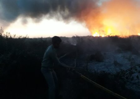 وقوع مجدد آتش سوزی در پارک ملی بوجاق