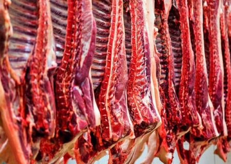 افزایش تولید گوشت و شیر در گیلان