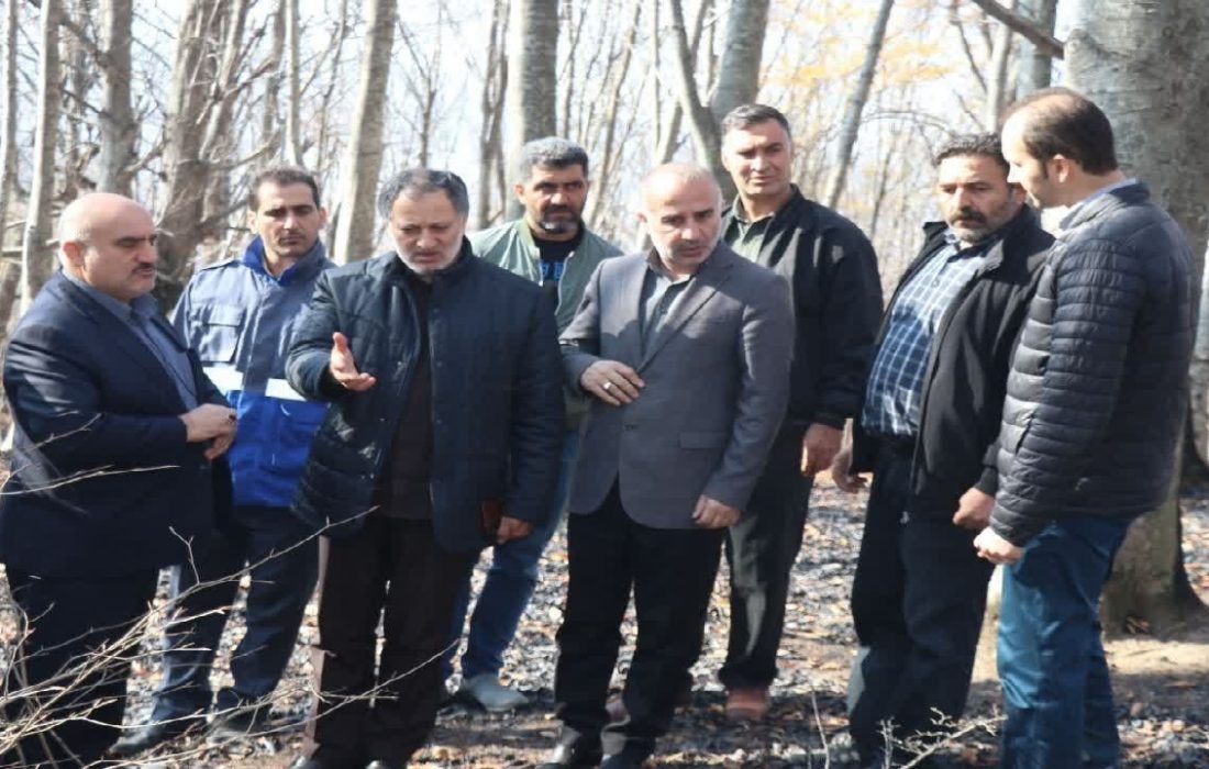 برخورد قانونی با عاملان بد رفتاری با طبیعت