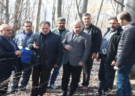 برخورد قانونی با عاملان بد رفتاری با طبیعت