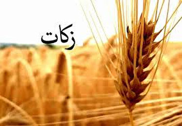 جمع آوری بیش از ۶۴ میلیارد تومان زکات در گیلان