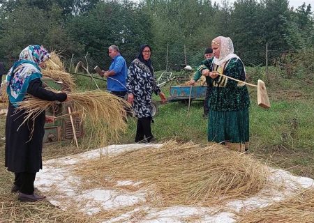 هم‌نوایی اقوام در جشن کشاورزان گیلانی