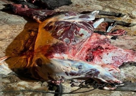 ذبح گوشت الاغ در یک رستوران متروکه واقع در جاده قزوین–رشت!