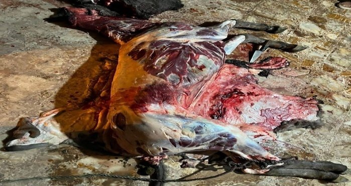 ذبح گوشت الاغ در یک رستوران متروکه واقع در جاده قزوین–رشت!